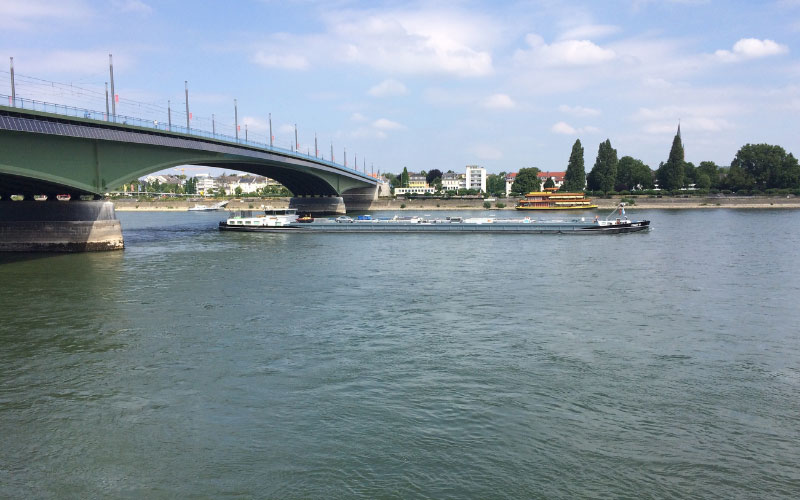 Schiff auf dem Rhein in Bonn